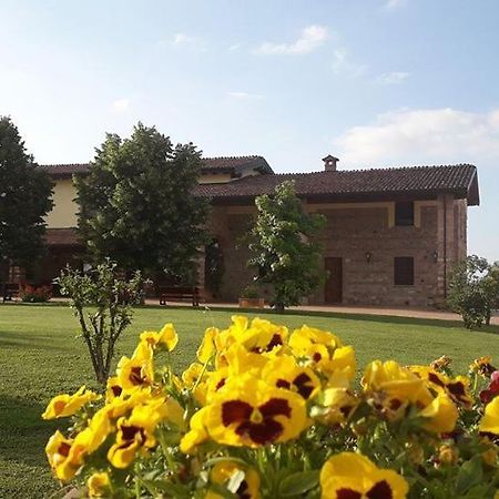 Agriturismo Ama Vigolzone Dış mekan fotoğraf
